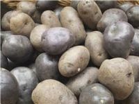Potato, Purple